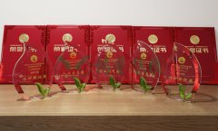 “九游会俱乐部杯”浙江省节地生态安葬设计作品奖