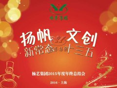 年终会：记2015年终总结大会暨2016年计划会议