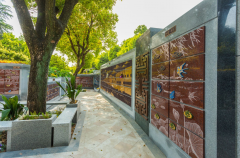 绿色殡葬新风尚：探索葬式多样化的创新之路