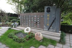 致敬“平安卫士”，铭记“刑警之魂”