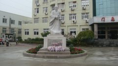 石雕匠心，镌刻医者风华