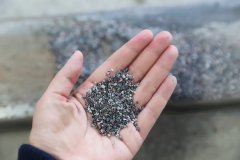 石语新章：仿真保护箱中的生态启示录