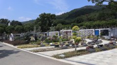 生态葬，让生命在绿意中永恒