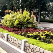 无机仿真石花箱：以永恒之名，塑未来之境