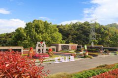 城市角落的星河：当墓园成为生命的另一种花园