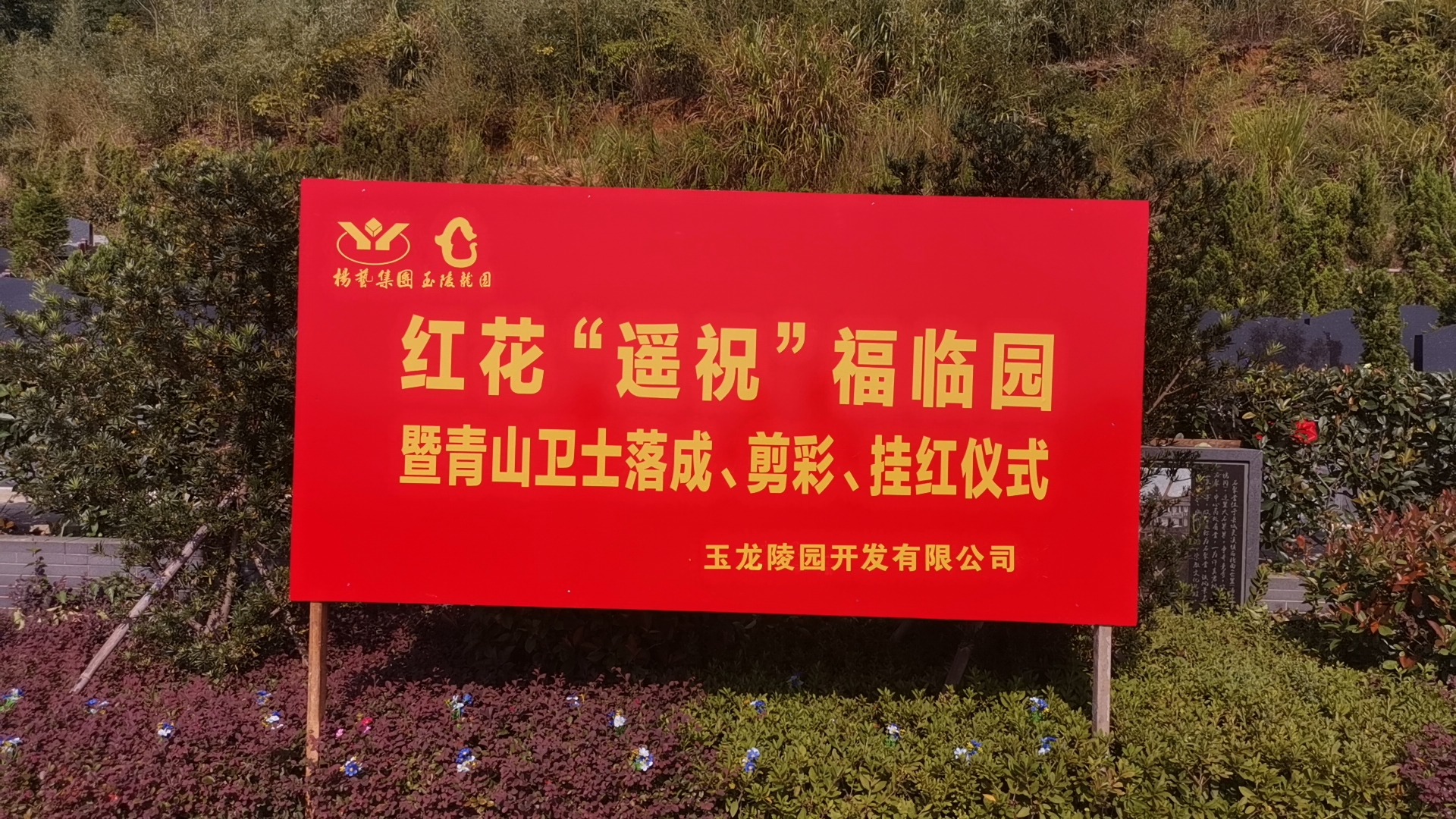 红花传爱意，情满玉龙园！