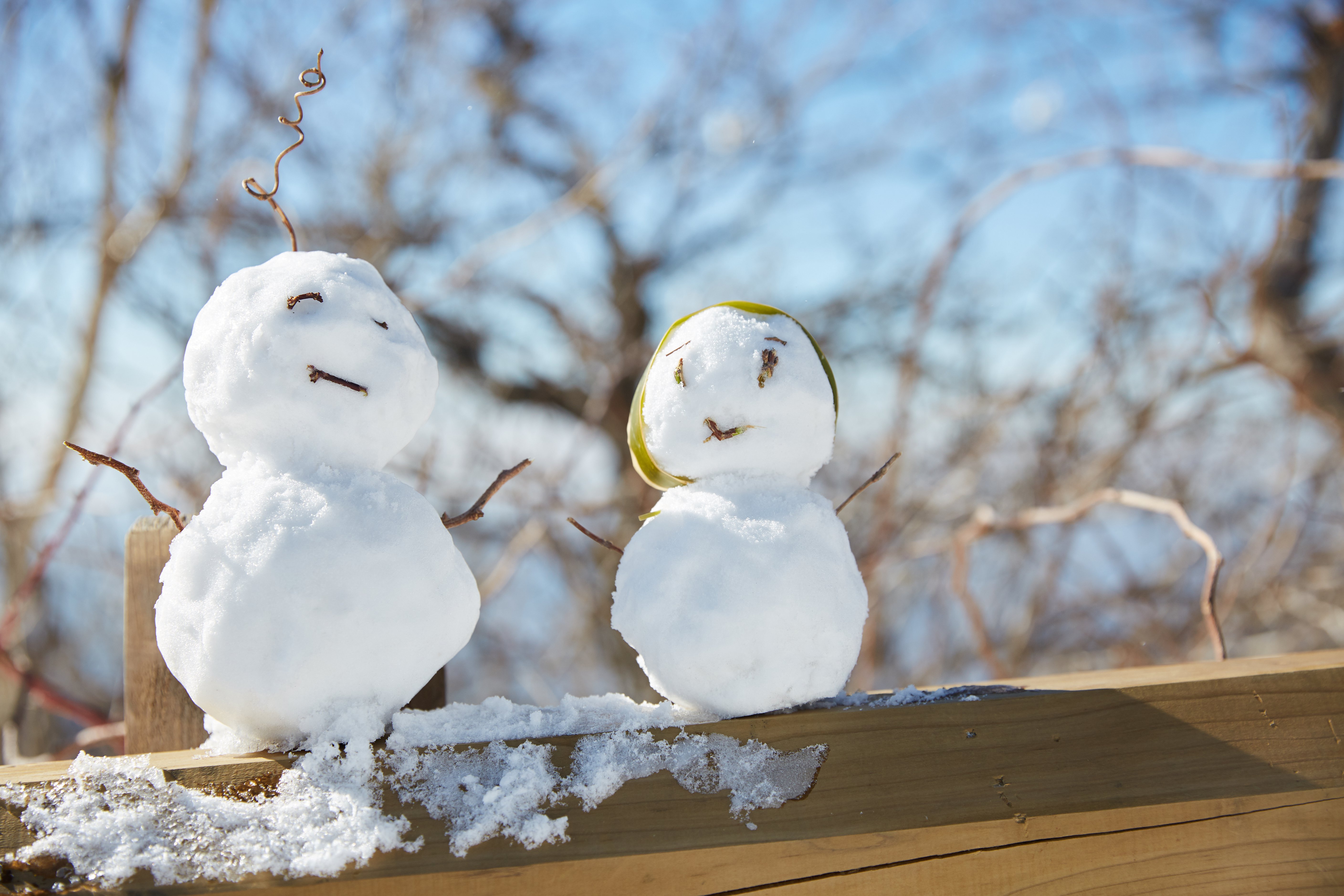 冬至，暖“杨”相伴 | 九游会俱乐部人全力配合各墓园冬至落葬